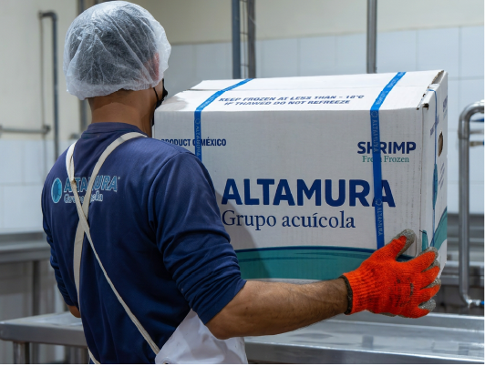 Colaborador Altamura empacando caja de camarón en planta