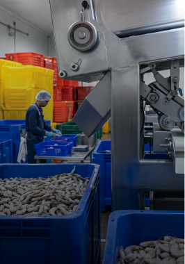 Control de calidad en planta procesadora