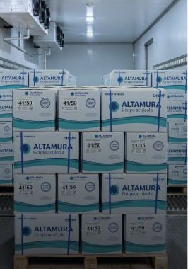 Cajas de camarón apiladas en cámara de frío, listas para embarque